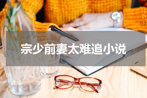 宗少前妻太难追小说
