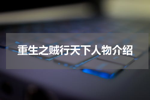 重生之贼行天下人物介绍