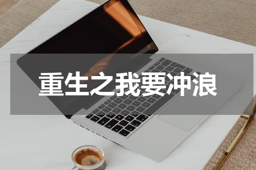 重生之我要冲浪