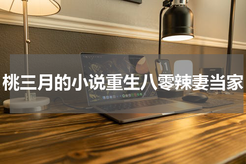桃三月的小说重生八零辣妻当家