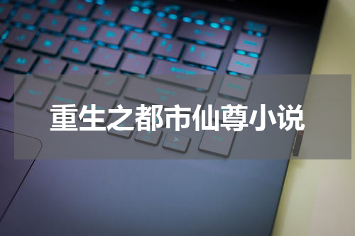 重生之都市仙尊小说