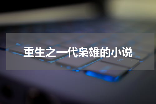 重生之一代枭雄的小说