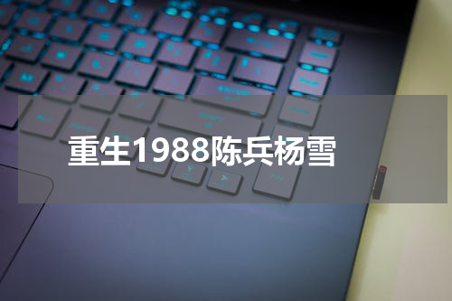重生1988陈兵杨雪