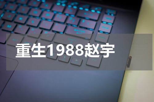重生1988赵宇