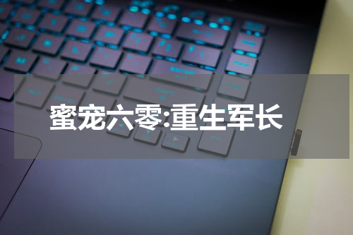 蜜宠六零:重生军长