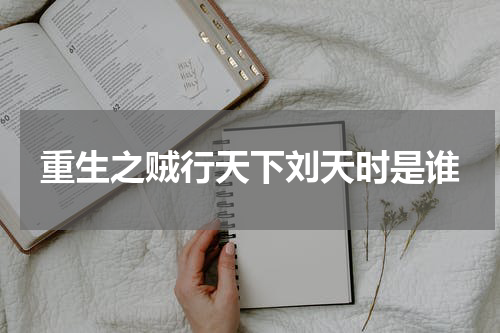 重生之贼行天下刘天时是谁