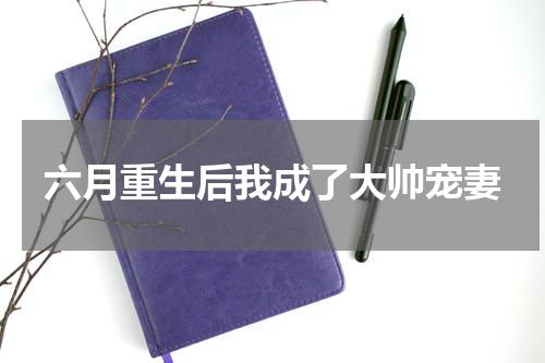 六月重生后我成了大帅宠妻