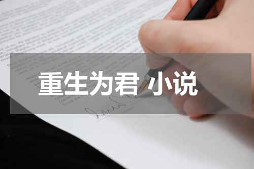重生为君 小说