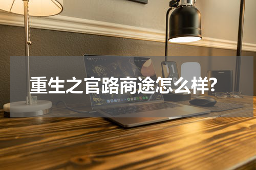 重生之官路商途怎么样?