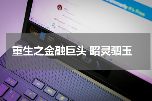 重生之金融巨头 昭灵驷玉
