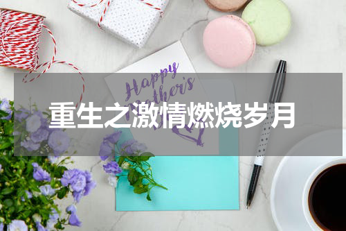 重生之激情燃烧岁月