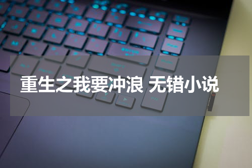 重生之我要冲浪 无错小说