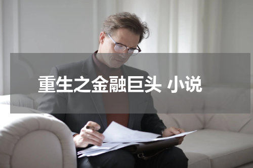 重生之金融巨头 小说
