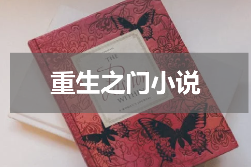 重生之门小说