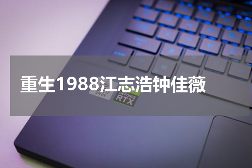 重生1988江志浩钟佳薇