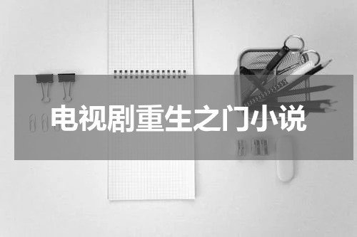 电视剧重生之门小说