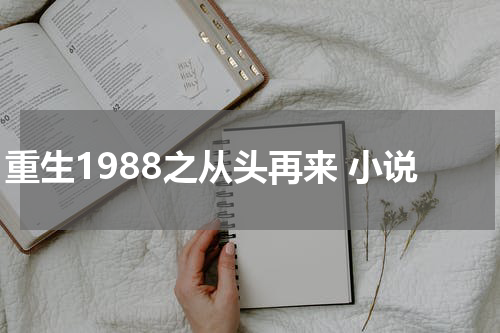 重生1988之从头再来 小说