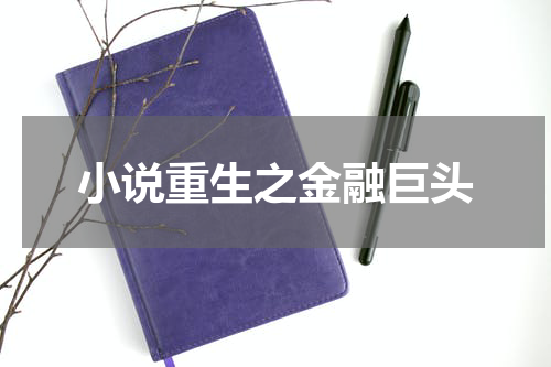 小说重生之金融巨头