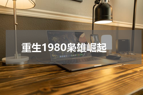 重生1980枭雄崛起