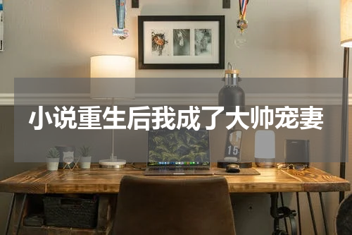 小说重生后我成了大帅宠妻
