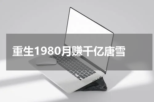 重生1980月赚千亿唐雪