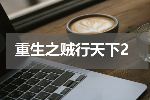 重生之贼行天下2