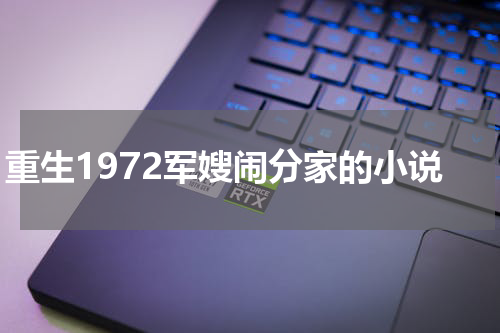 重生1972军嫂闹分家的小说
