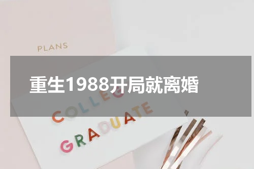 重生1988开局就离婚