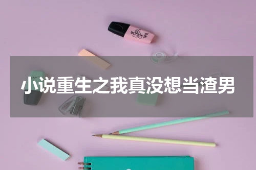 小说重生之我真没想当渣男