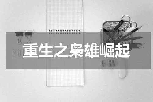 重生之枭雄崛起
