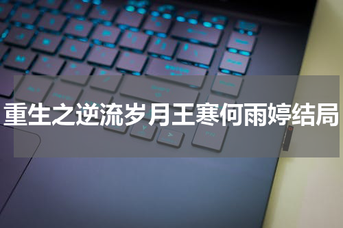 重生之逆流岁月王寒何雨婷结局