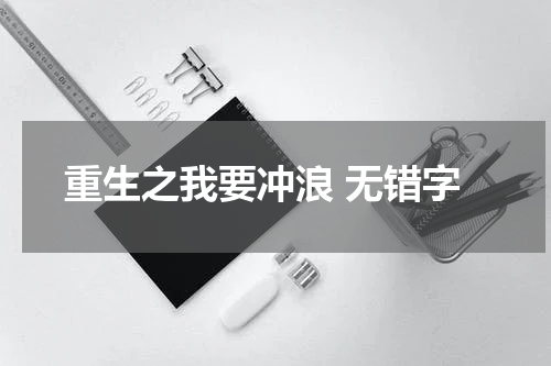 重生之我要冲浪 无错字