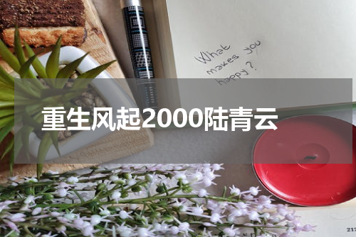 重生风起2000陆青云