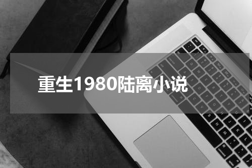 重生1980陆离小说