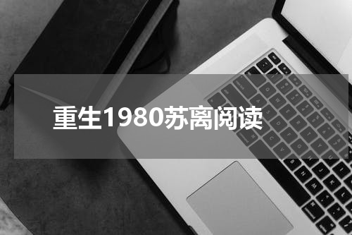 重生1980苏离阅读