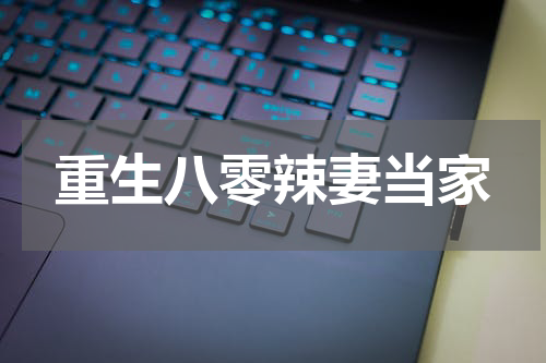 重生八零辣妻当家