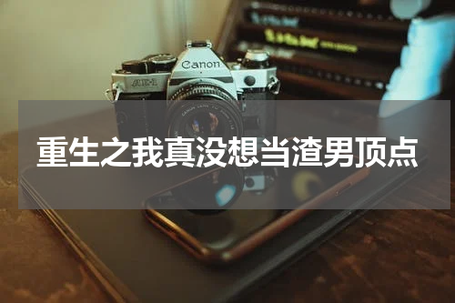 重生之我真没想当渣男顶点