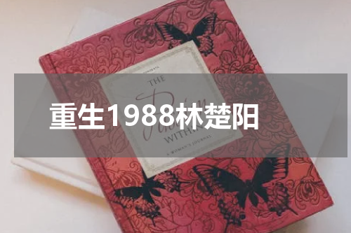 重生1988林楚阳