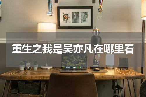 重生之我是吴亦凡在哪里看