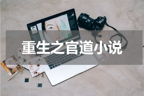 重生之官道小说