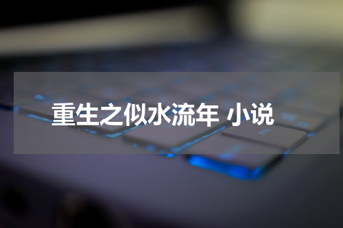 重生之似水流年 小说