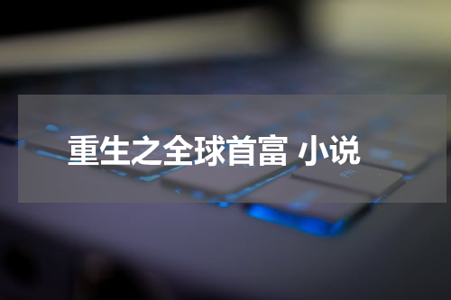 重生之全球首富 小说
