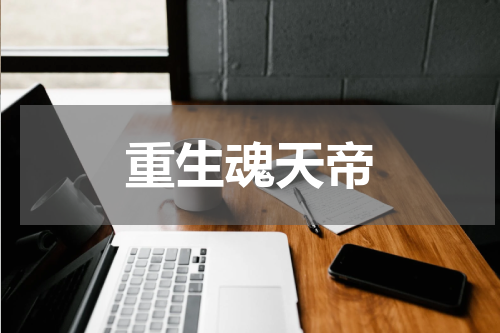 重生魂天帝