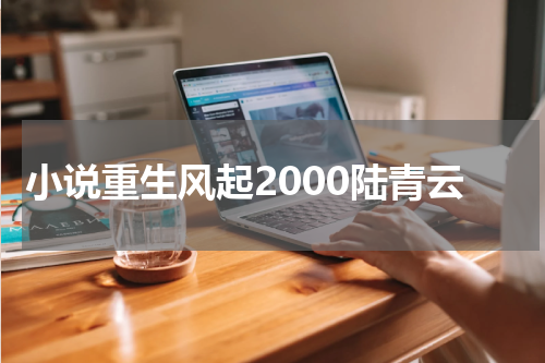 小说重生风起2000陆青云