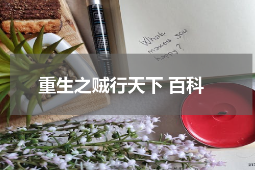 重生之贼行天下 百科