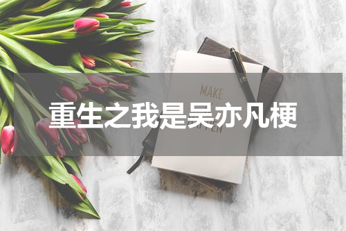 重生之我是吴亦凡梗