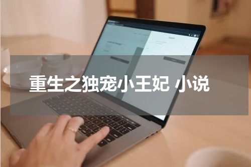 重生之独宠小王妃 小说