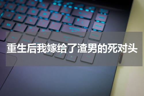重生后我嫁给了渣男的死对头