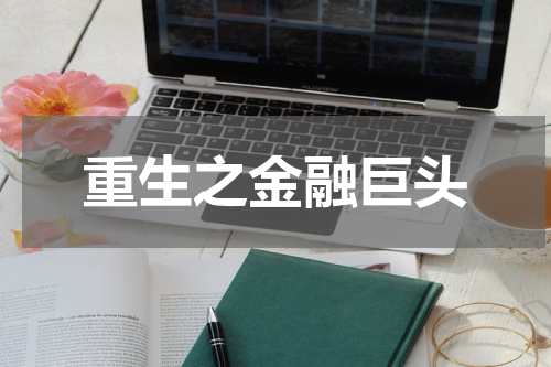 重生之金融巨头