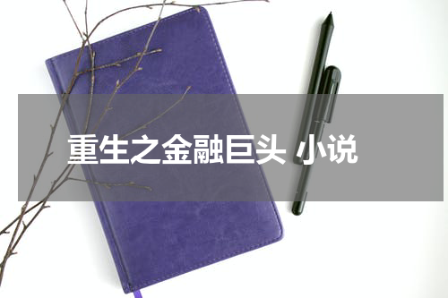 重生之金融巨头 小说